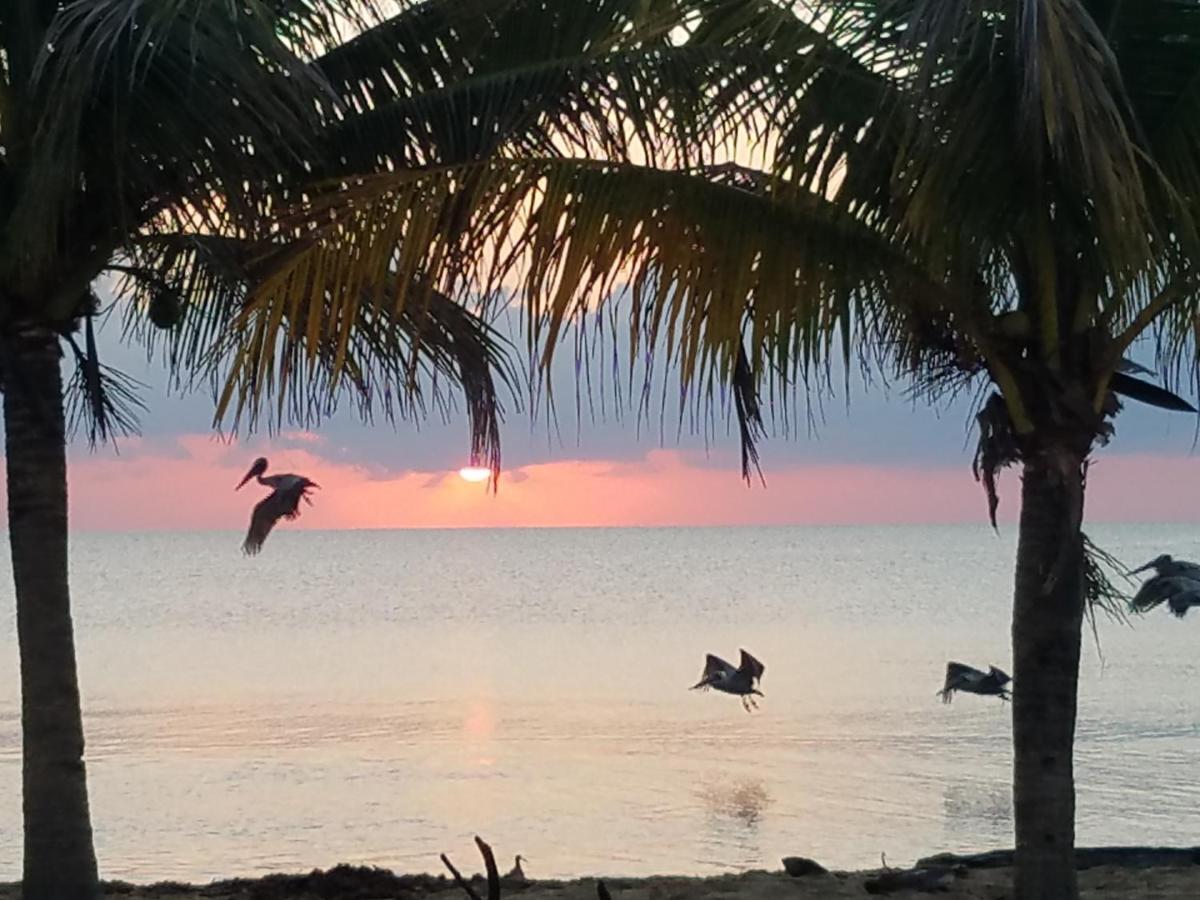 Pal'S On The Beach - Dangriga, Belize Exterior photo