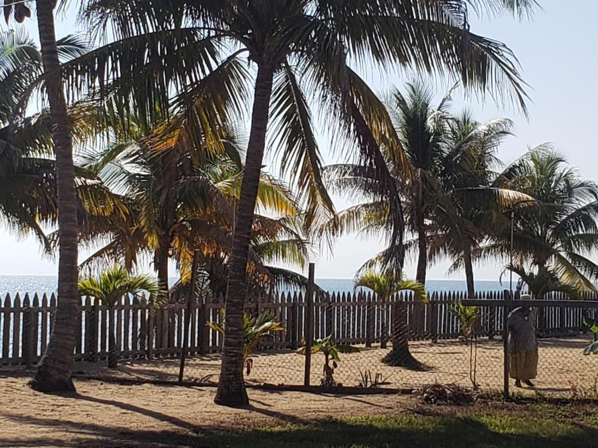 Pal'S On The Beach - Dangriga, Belize Exterior photo